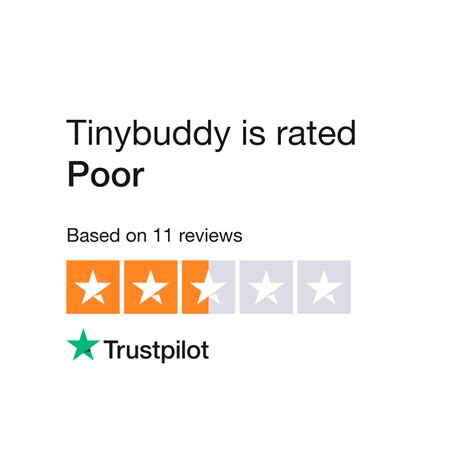 wwwtiny buddy.se|About Tinybuddy .